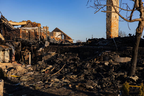 Reliable Content Restoration contractor in Christmas, FL by Fire Damage Flint
